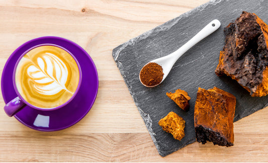 café-champignon-chaga-santé
