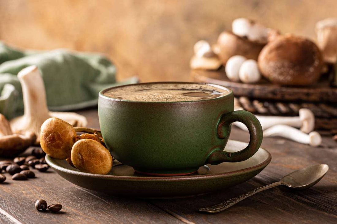 Les 6 meilleures marques de café adaptogène (Guide 2026)