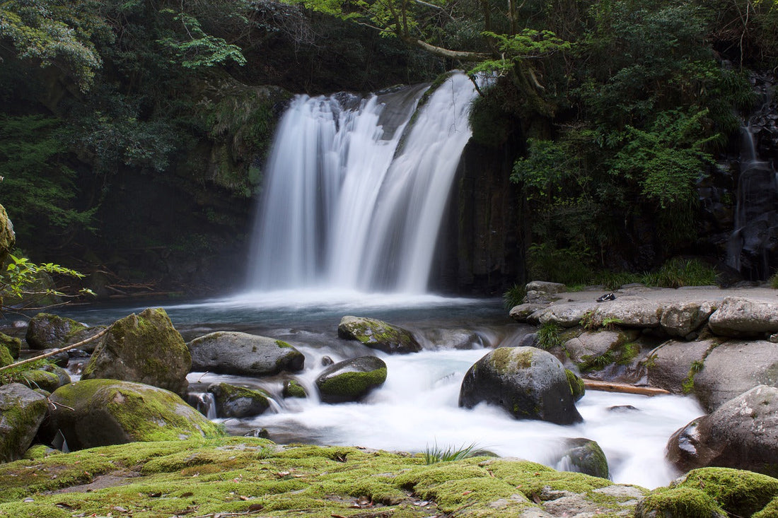 torrent-nature-foret-japon