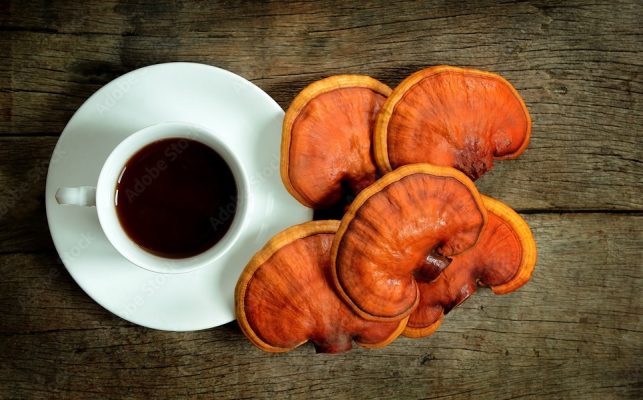 café-enrichi-en-ganoderma-champignon